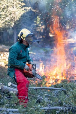 İspanya itfaiyecileri İspanya 'nın orta kesiminde orman bitkilerini kesip temizlediler..
