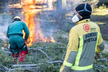 Orta İspanya 'da orman yangınını önlemek için bitki örtüsü temizleme operasyonu