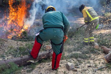 Vahşi doğa itfaiyecileri Madrid yakınlarındaki orman bakımı sırasında elektrikli testere kullanırlar.