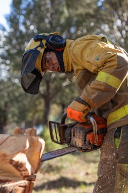 Madrid yakınlarındaki bir orman bölgesindeki orman yangını önleme operasyonları sırasında İspanyol yaban hayatı itfaiyecileri ağaç ve dal yığını yığıyor..