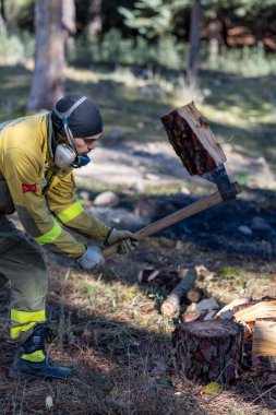 Madrid, İspanya yakınlarındaki orman yangını önleme çalışmaları sırasında orman itfaiyecileri odun keserler..