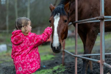 Kırsal Çiftlik Düzeninde Kahverengi Atlı Genç Kız