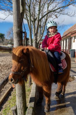 Kırsalda kışı geçirmek için giyinmiş genç bir kız midillisiyle bağ kuruyor..