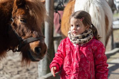 Sıcak giysili bir kız serin bir günde kahverengi bir midilliyle vakit geçiriyor..