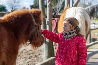 Kırsalda kışı geçirmek için giyinmiş genç bir kız midillisiyle bağ kuruyor..