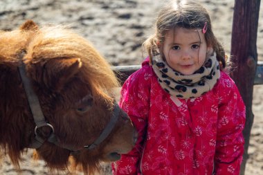 Sıcak giyimli bir kız soğuk havada açık havada kahverengi bir midilliyle oynuyor..