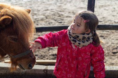 Paltolu Kız Kahverengi Midilli ile Oynuyor