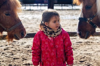 Kışın Giyinen Çocuk Kahverengi Midilli ile Etkileşiyor