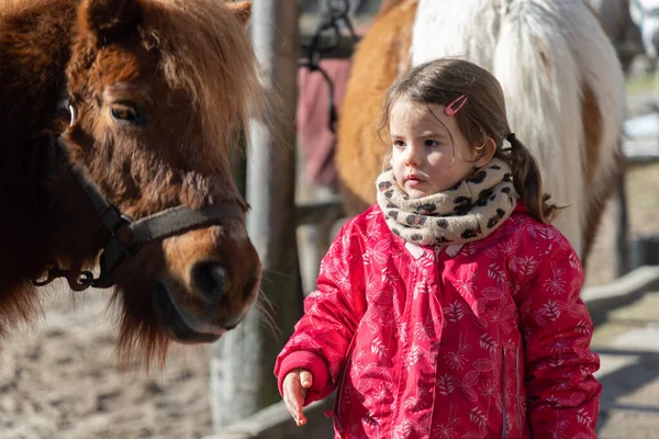 Sıcak giysili bir kız serin bir günde kahverengi bir midilliyle vakit geçiriyor..