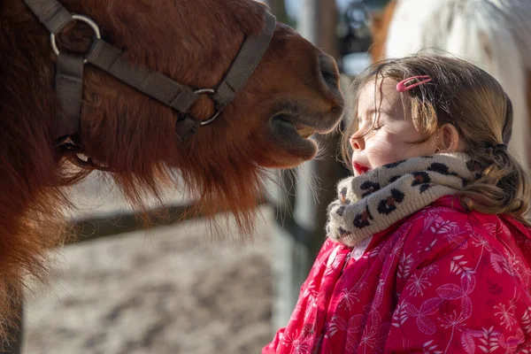Kışlık palto giyen bir çocuk kırsal alanda kahverengi bir midilliyle kibarca etkileşime giriyor..