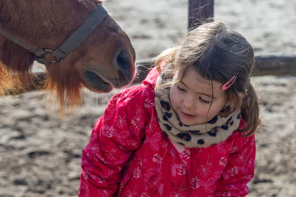 Soğuk Hava 'da Genç Kız Midilliyle Kaynaşıyor