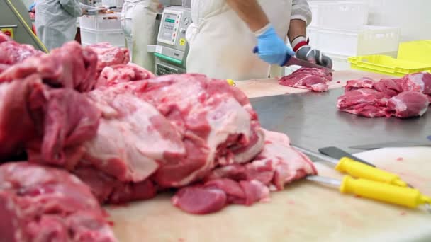 Carnicero cortando carne de cerdo en planta de procesamiento de carne — Vídeo de stock