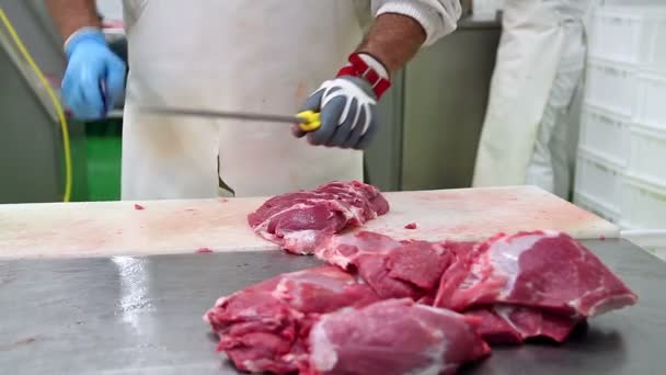 Cuchillo de afilado de carnicero en acero de afilado — Vídeos de Stock