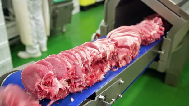Fleischverarbeitungsanlage — Stockvideo