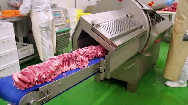 Costeletas de porco cru fresco na fábrica de carne — Vídeo de Stock