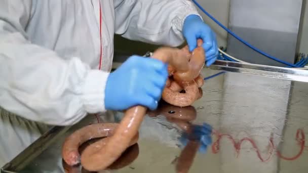 食肉工場でソーセージを作る — ストック動画