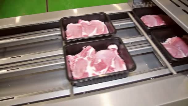 Empleado trabaja en línea de embalaje de carne — Vídeo de stock