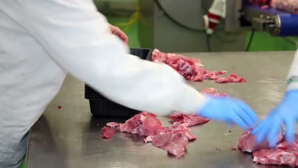 Arbetaren Fläskkotletter packning Ribeye — Stockvideo