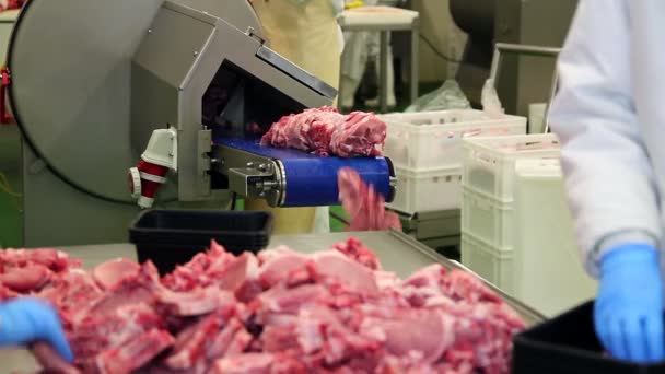 Meat Processing Plant Workers at Work — Stock Video