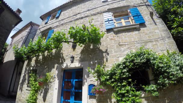 Stenen huis met blauwe luiken en wijnstokken — Stockvideo