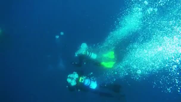 Grupo de buceadores en una inmersión profunda — Vídeo de stock