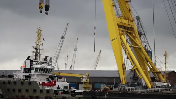 Transporte de contenedores industriales Escena portuaria — Vídeos de Stock