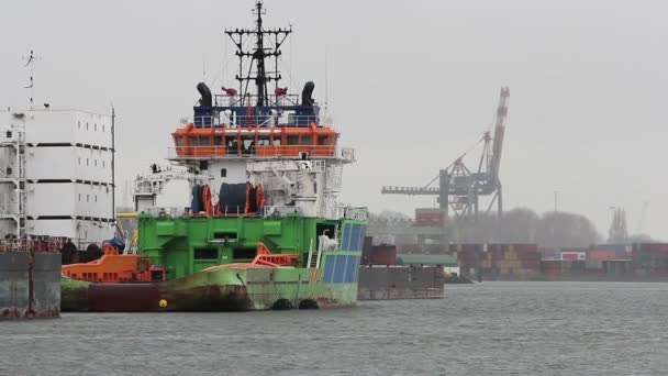 Буксир пристыкован в порту - контейнерный терминал в гавани Роттердама — стоковое видео