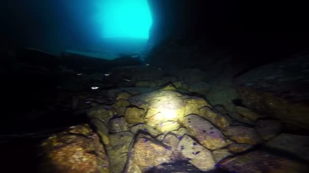 Diver esplora grotta subacquea — Video Stock