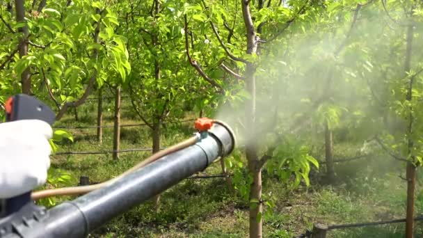 Atomizing Spray Nozzle Spraying Orchard Primavera Vídeo Movimento Lento Mão — Vídeo de Stock