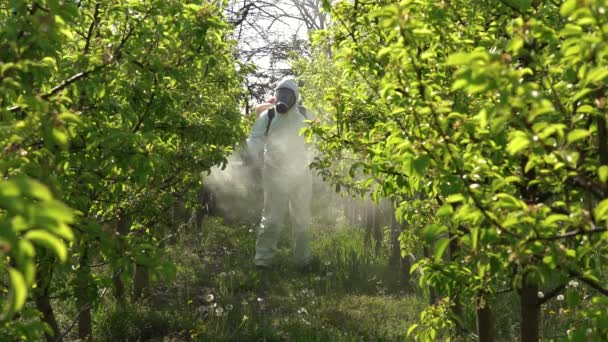 Farmer Personal Protective Equipment Spraying Orchard Springtime Slow Motion Video — Stock video