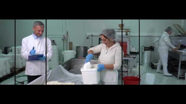 Industria Láctea Vídeo Montaje Fabricación Productos Lácteos Ingeniero Alimentos Escribiendo — Vídeos de Stock