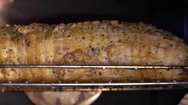 Delicious Meat Roll Roasting Oven Slow Motion Fat Dripping Meat — Stock Video