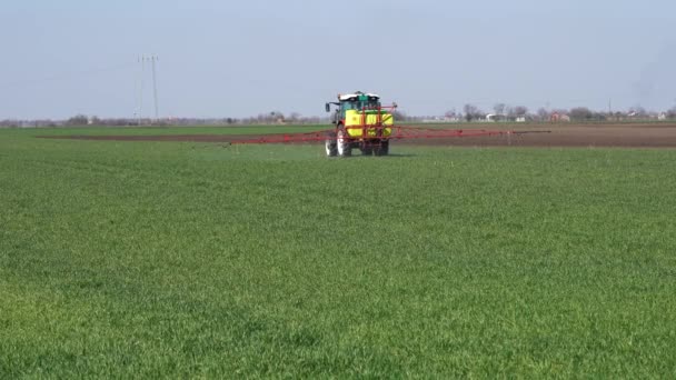 Exploitation Agricole Tracteur Pulvérisation Champ Blé Vert Printemps Blé Vert — Video