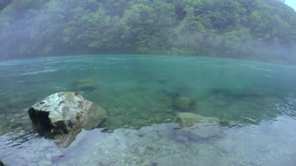 Agua Que Fluye Con Niebla Asentó Sobre Río Bosque Con — Vídeos de Stock