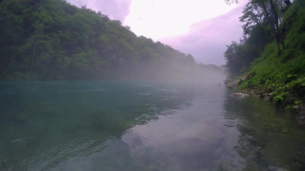 Agua Que Fluye Por Orilla Del Río Bosque Con Fondo — Vídeos de Stock