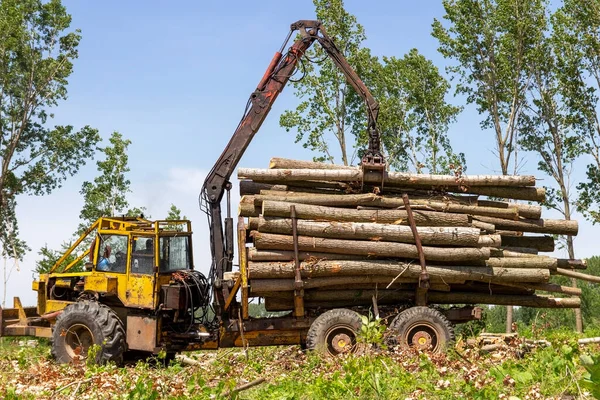 Forstbetriebsfahrzeug Einsatz Baumstämme Mit Holzkran Auf Einen Haufen Laden Blick — Stockfoto