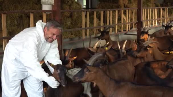 Happy Farmer His Goats Inglês Organic Goat Dairy Farm Fazendeiro — Vídeo de Stock