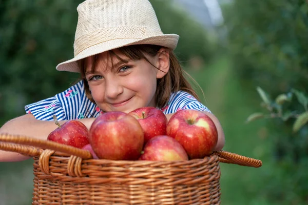 Smiling Blue Eyed Girl Straw Hat Basket Red Apples Little — Stock Photo, Image