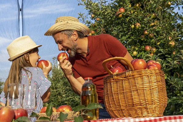 Farmer Jego Córka Jedzą Jabłka Bawią Się Słonecznym Sadzie Koncepcja — Zdjęcie stockowe
