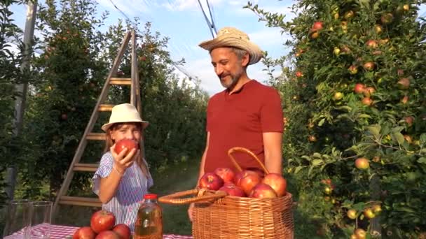 在阳光园中 蓝色的小女孩送给红色的苹果 农夫送给树苗 有机耕作 健康食品和生活方式的概念 苹果收获 — 图库视频影像