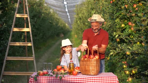 Farmer Kicsi Lánya Egy Kosár Étvágygerjesztő Vörös Almával Almalével Egy — Stock videók