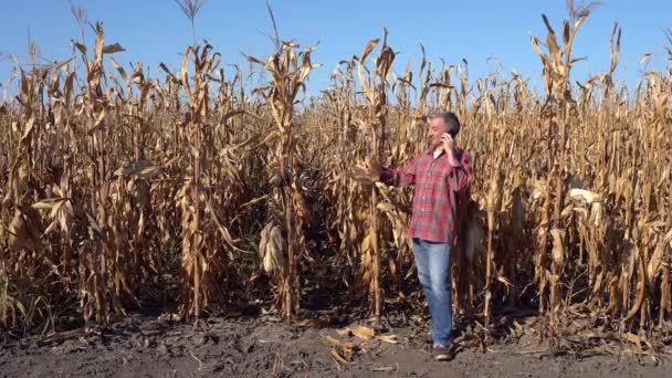 Veselý Farmář Mluví Mobilním Telefonu Svém Kukuřičném Poli Zoom Záběru — Stock video