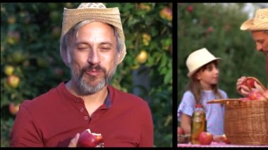 Meyve Bahçesi Kavramsal Çoklu Ekran Videosunda Aile Elması Toplama. Küçük kız ve babası meyve bahçesinde elma yiyorlar. Sağlıklı gıda konsepti. Karizmatik Olgun Çiftçi Kameraya Bakıyor. 