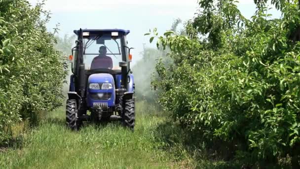 Farmer Driving Tractor Spraying Apple Orchard Slow Motion Video Traktor — Stock video