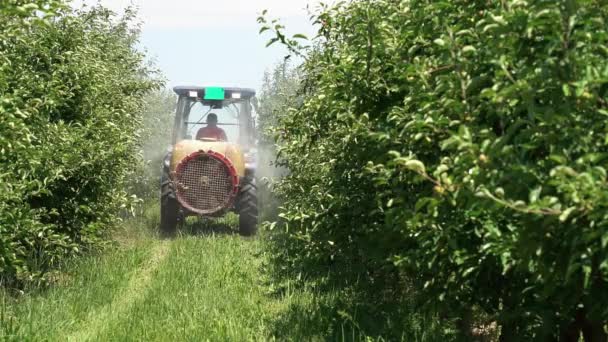 Video Rallentatore Del Trattore Che Spruzza Apple Orchard Spruzzatore Frutteto — Video Stock