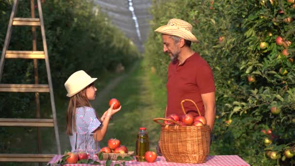 Exitoso Granjero Hijita Mostrando Manzanas Frescas Huerto Girl Blue Eyes — Vídeos de Stock