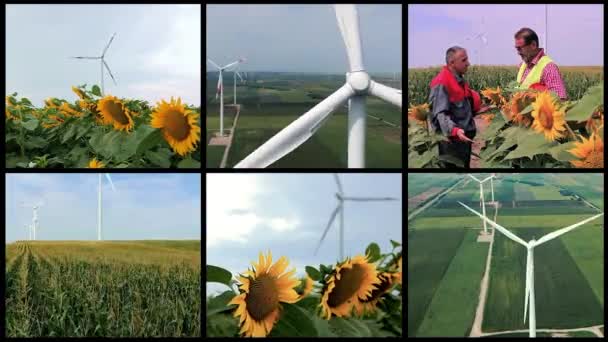 Rüzgâr Çiftliği Şiddetli Rüzgarlarda Dönen Dev Rüzgar Türbinlerinin Hava Görüntüsü — Stok video