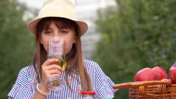 Hermosa Niña Con Ojos Azules Bebiendo Jugo Orgánico Manzana Huerto — Vídeos de Stock