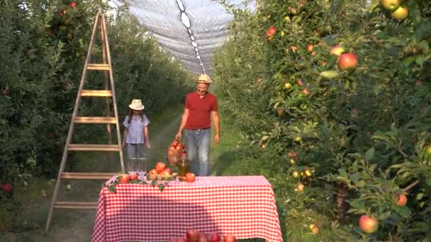 Padre Pequeña Hija Caminando Través Huerto Manzanas Rojas Con Cesta — Vídeos de Stock