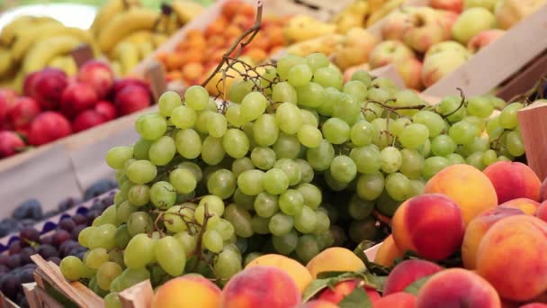 Outdoor Fruit Stand Fresh Ripe Fruit Street Vendor Selling Fruits — Stock videók